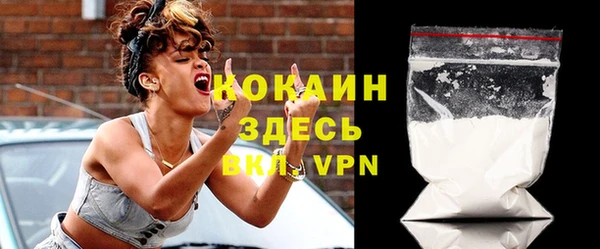 индика Анива