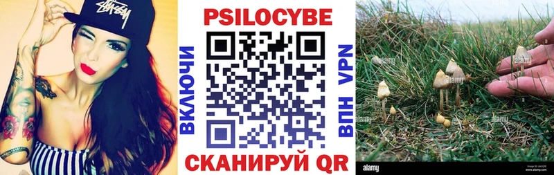 kraken вход  Кудымкар  Галлюциногенные грибы мицелий 