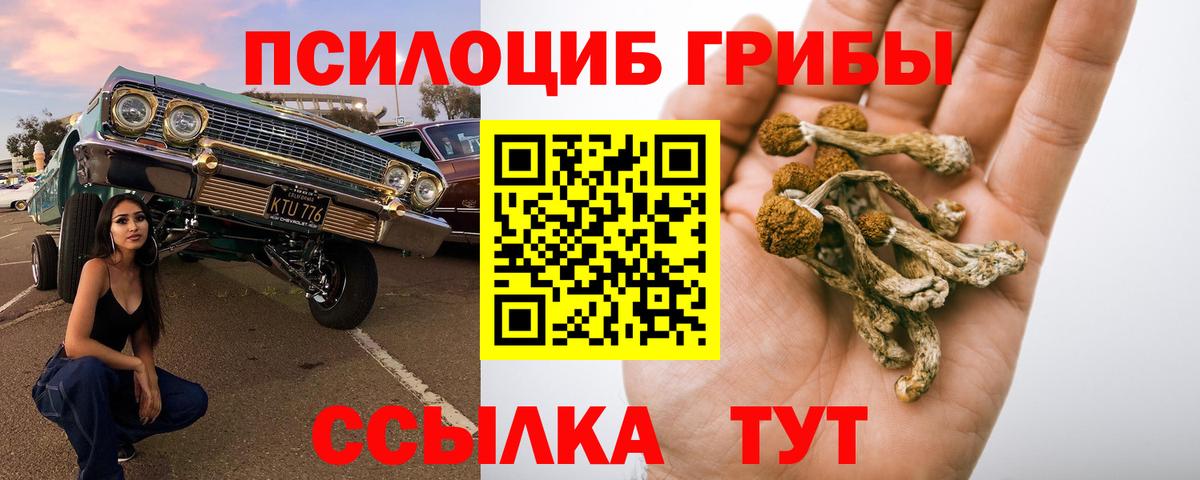 Псилоцибиновые грибы MAGIC MUSHROOMS Кудымкар